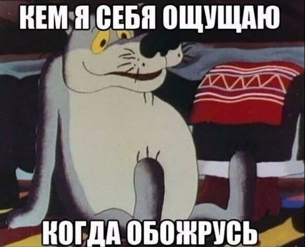 НЕМШ СЕБЯ ПЩУЩАЮ