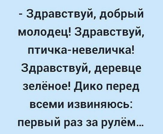 Здравствуй добрый молодец Здравствуй птичка невеличка Здравствуй деревце зелёное Дико перед всеми извиняюсь первый раз за рулём