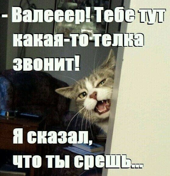 Валеева твц наиаЬ пйеп звонит связа что ты спе