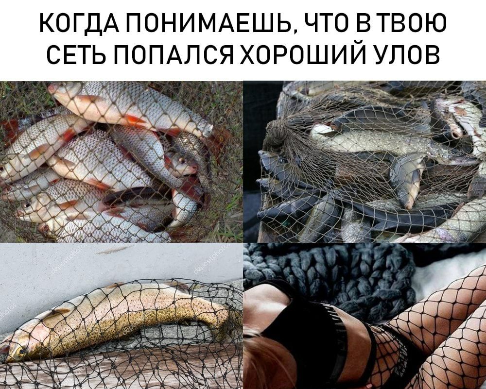 КОГДА ПОНИМАЕШЬ ЧТО ВТВОЮ СЕТЬ ПОПАЛСЯ ХОРОШИЙ УЛОВ