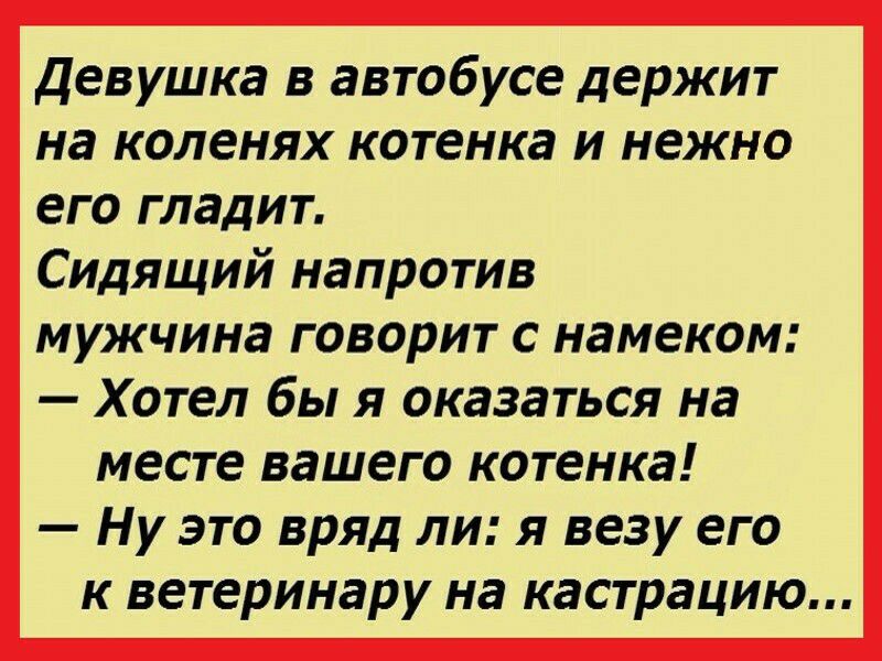 Девушка в автобусе держит на коленях котенка и нежно его гладит Сидящий напротив мужчина говорит с намеком Хотел бы я оказаться на месте вашего котенка Ну это вряд ли я везу его к ветеринару на кастрацию