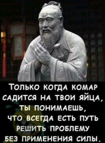 1 1 1 Только КОГДА комп САДИТСЯ нд твои яйцл ты пониммгшь что всегдд есть путь решить проблему вез применения силы