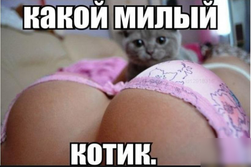 надои милым