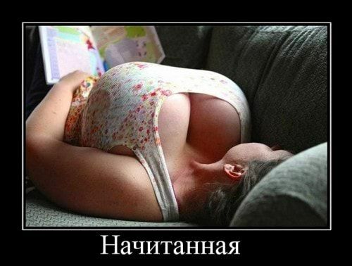 Начитанная