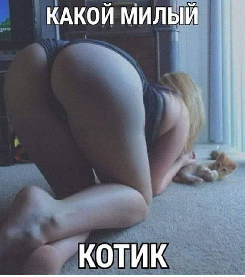 АКОЙ МИЛЫЙ 7 Ё