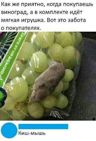 Как же приятно когда покупаешь виноград а в комплекте идёт мягкая игрушка Вот это забота покупателях Кишгмышь