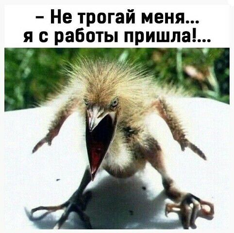 Не трогай меня я с работы пришла