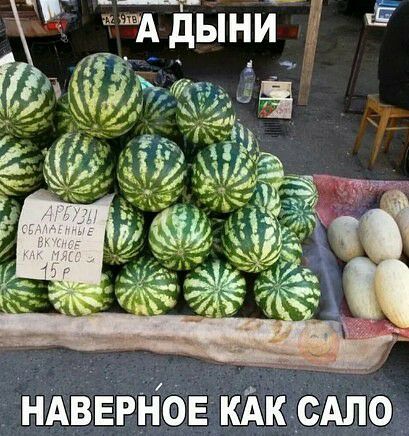 нАВЕРнов КАКСАЛО