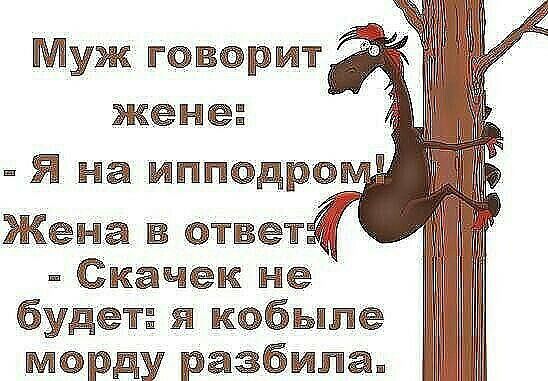 Муж твщрмт жене _ на иишюдро Жена _ _ качёк Не будт я кабыпе марду разбита