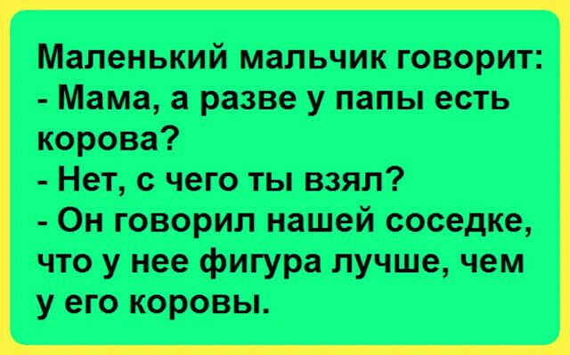 Маленький мальчик говорит Мама а разве у папы есть корова Нет с чего ты взял Он говорил нашей соседке что у нее фигура лучше чем у его коровы