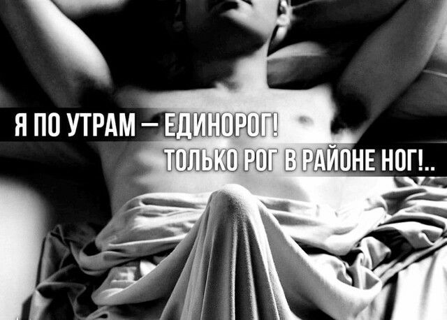 я по УТРАМ щ 1 ыы шгш __