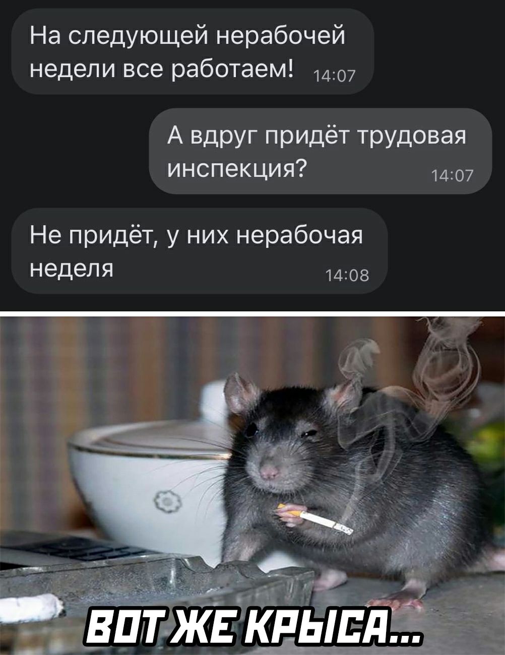 На следующей нерабочей недели все работаем 1407 А вдруг придёт трудовая инспекция 1407 Не придёт у них нерабочая неделя 1408