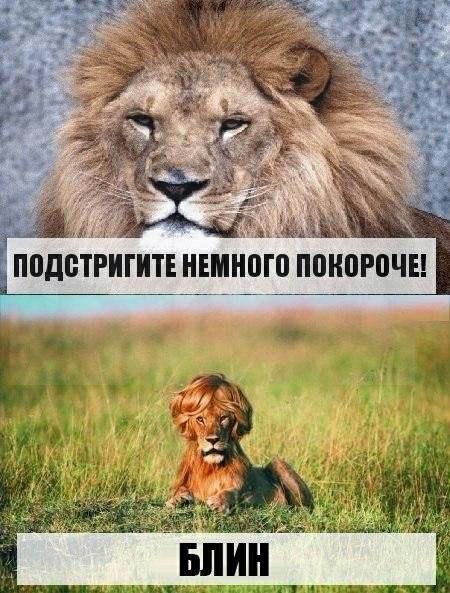 Пвдвтёигите немного
