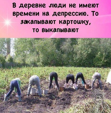 в деревне люди не имеюі времени на депрессию То закапывают картошку ТО ВЫКЗПЫВЗЮТ
