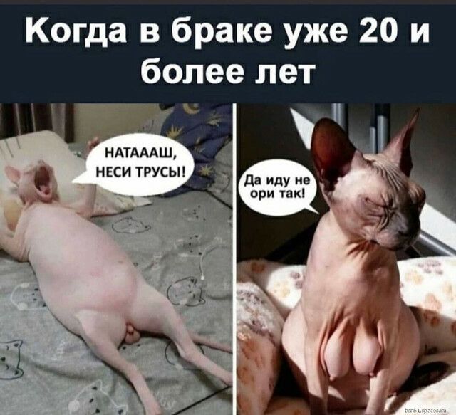 Когда в браке уже 20 и более лет НАТАААШ неси трусыг