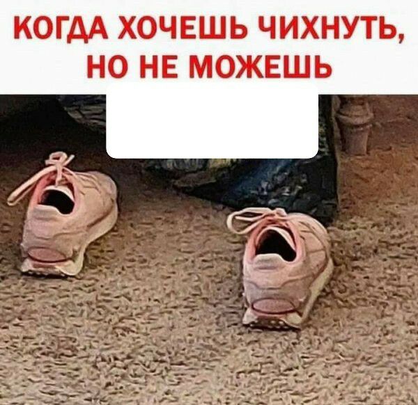 КОГ АА ХОЧЕШЬ ЧИХНУТЬ НО НЕ МОЖЕШЬ