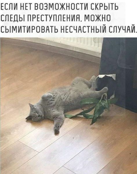 ЕСПИ НЕТ ВОЗМОЖНОСТИ СКРЫТЬ СЛЕДЫ ПРЕСТУПЛЕНИЯ МОЖНО СЫМИТИРОВАТЬ НЕСЧАСТНЫЙ СЛУЧАЙ