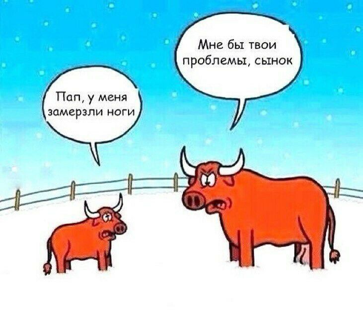 Мне бы твои проблемы сынок Пап у меня замерзли ноги