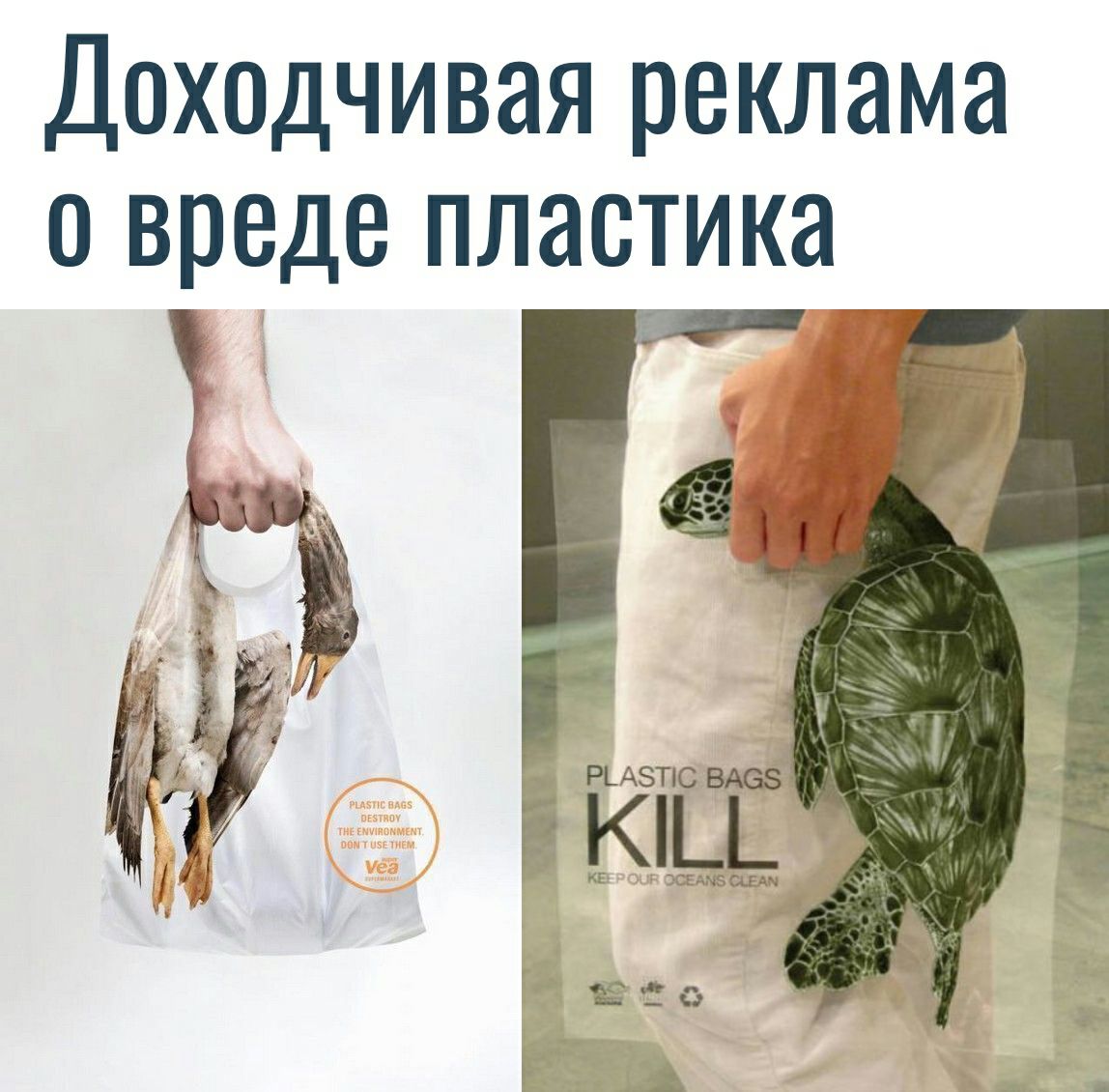 Доходчивая реклама о вреде пластика