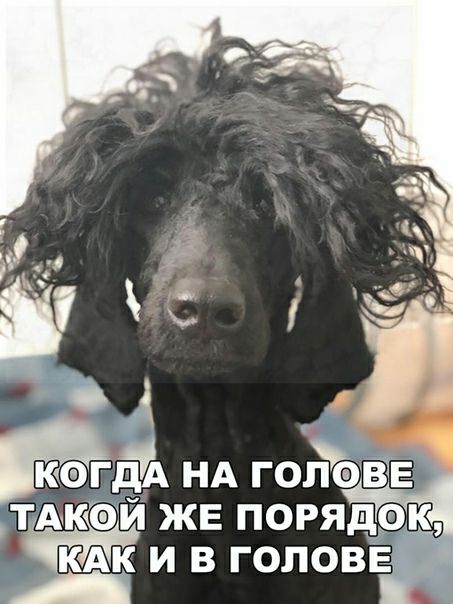 ТАКФЙ ЖЕ ПОРЯДФК кідік И В ГОЛОВЕ