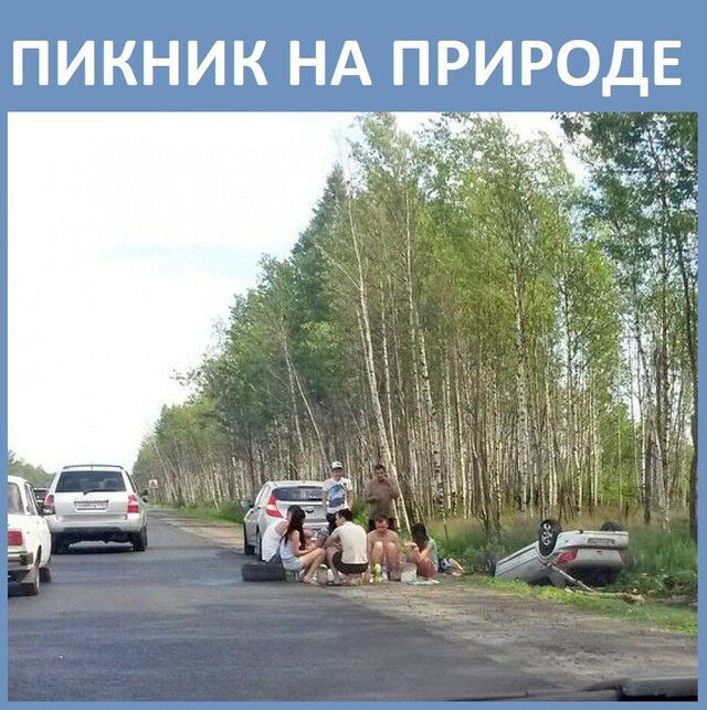ПИКНИК НА ПРИРОДЕ