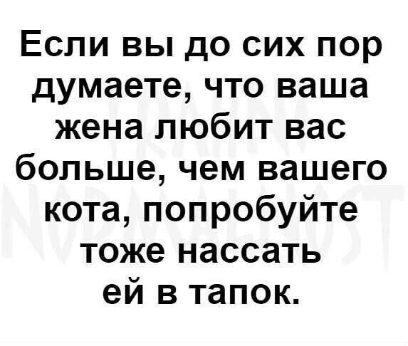 Если вы до сих пор думаете что ваша жена любит вас больше чем вашего кота попробуйте тоже нассать ей в тапок