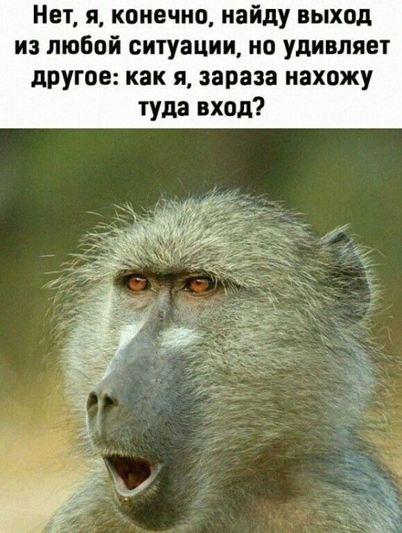 Нет я конечно найду выход из любой ситуации но удивляет другое как я зараза нахожу туда вход