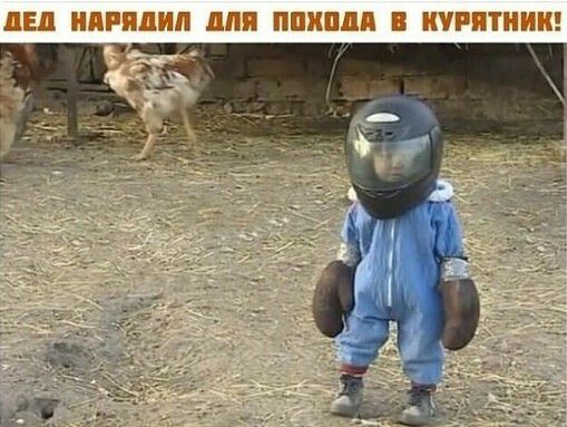 Дед нарядил для похода в курятник!