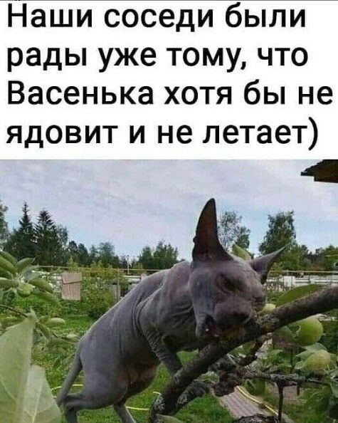 Наши соседи были рады уже тому что Васенька хотя бы не ядовит и не летает