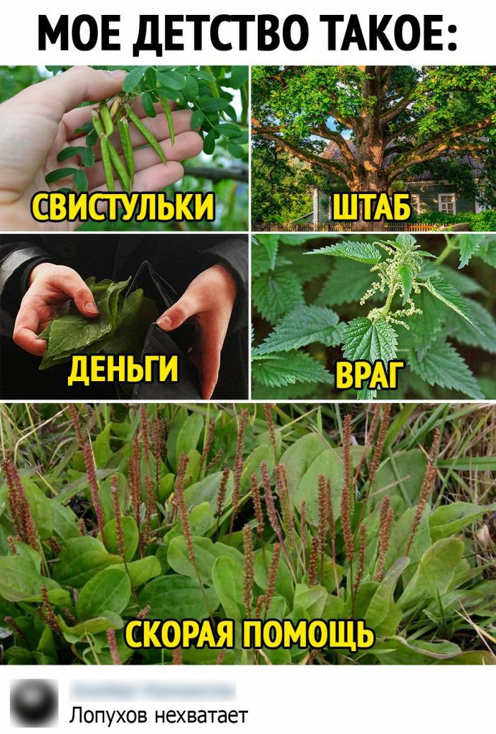 Лопухов нехватает