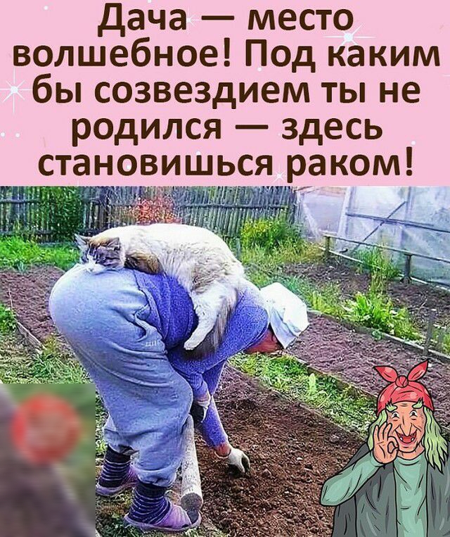 дача место волшебное Под каким бы созвездием ты не родился здесь становишься раком