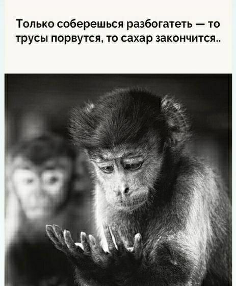 Только соберешься разбогатеть то трусы порвутся то сахар закончится