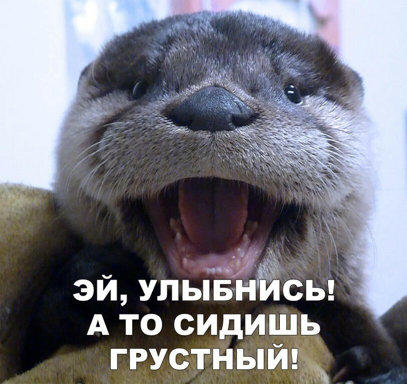 эй ул ьіЁНЁЁсы А то сидишь