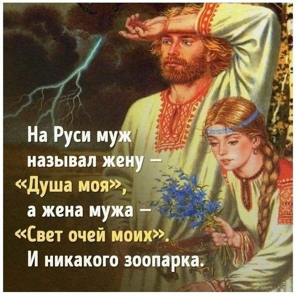 называл же _ Душа моя а жена мужа Свет очей моих И никакого зоопарка