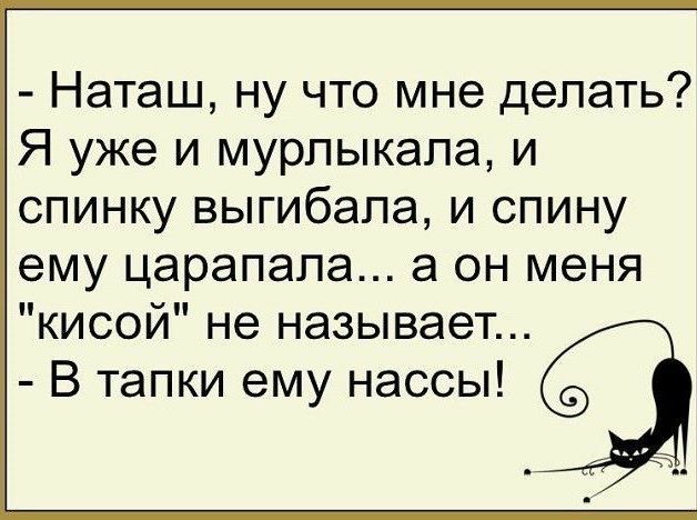 Наташ ну что мне делать Я уже и мурлыкала и спинку выгибапа и спину ему царапала а он меня кисой не называет В тапки ему нассы