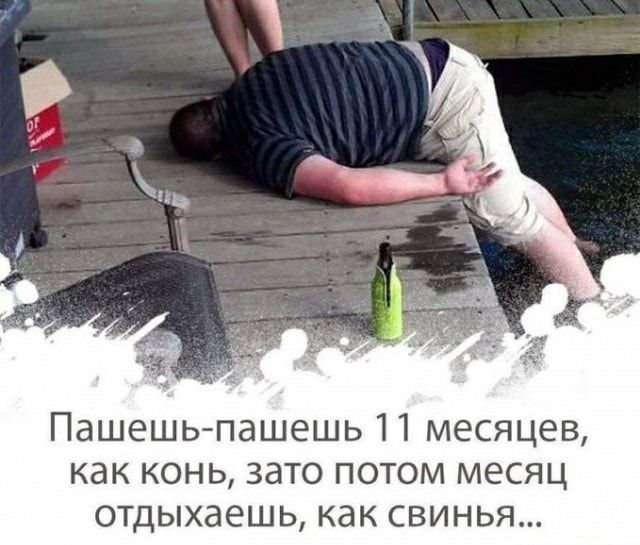 Пашешь пашешь 11 месяцев как конь зато потом месяц отдыхаешь как свинья