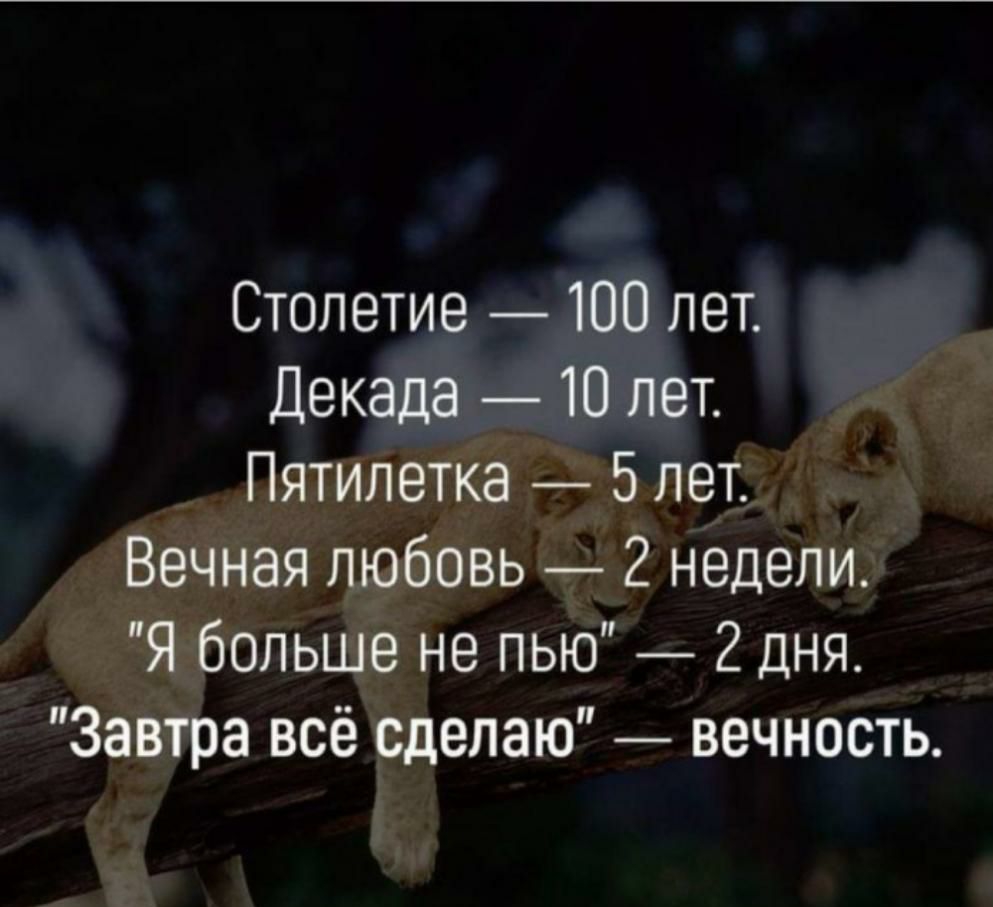 Столетие 100 лет Декада 10 лет Пятилетка 5лет Вечная любовь 2 недели Я больше не пью 2 дня Завтра всё сделаю вечность