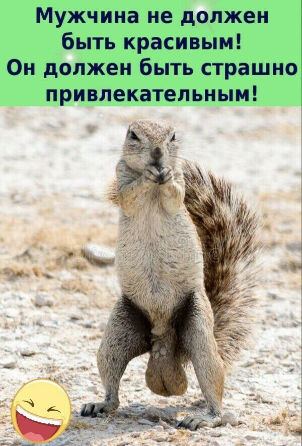 Мужчина не должен быть красивым Он должен быть страшно привлекательным