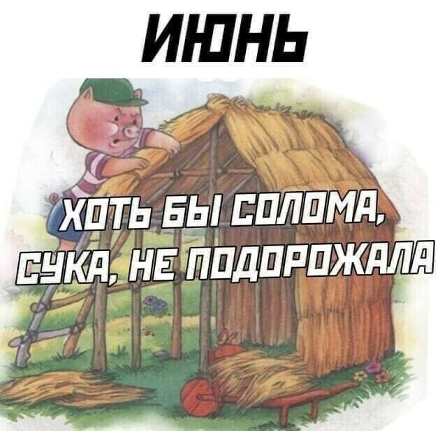 хить Бы пплпмйк снкднв пидпппжллд и д