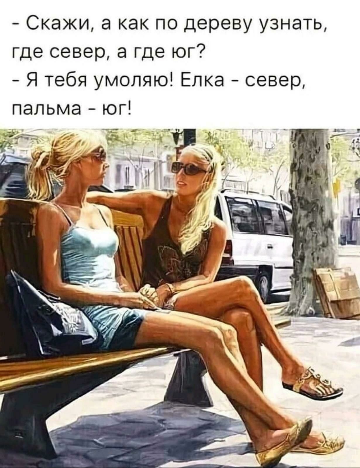 скажи, а как по дереву узнать, где север, а где юг?  Я тебя умоляю! Елка  север, пальма  юг!