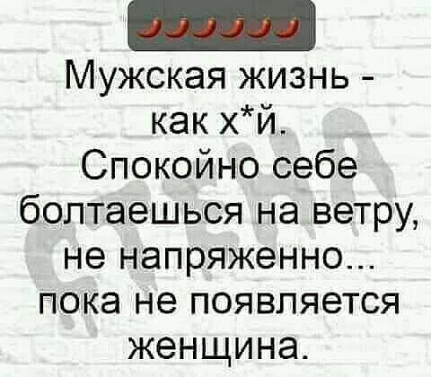 Мужская жизнь как хй Спокойно себе болтаешься на ветру не напряженно пока не появляется женщина