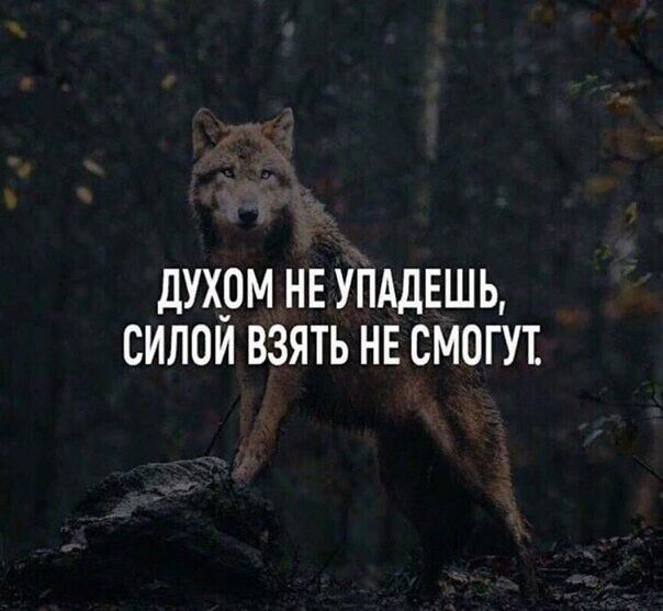 ДУХ_0М НЕ УПАДЕШЬ СИЛОИ ВЗЯТЬ НЕ СМОГУТ