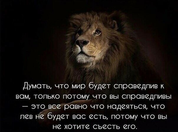 Думать что мир будет справвдпив к вам только потруу что вы справедливы это_ веерсівно что надеяться что пав нё будет все есть потому что вы не хотите съесть его