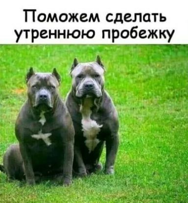 утреннюю пробежку 19 д д