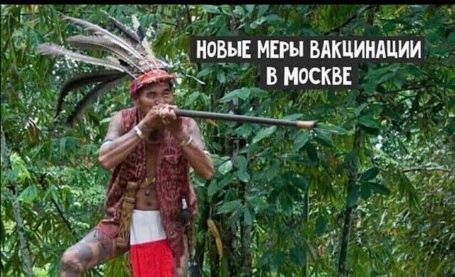 мызы влКцИищии _ _вмрскв _т