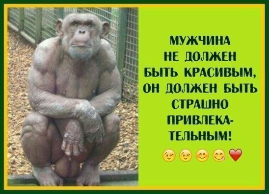 МУЖЧИНА НЕ ЛОЛЖЕН БЫТЬ КРАСИВЫМ Н ЦОЛЖЕН БЫТЬ СТРАШНО ПРИВЛЕКА ТЕЛЬНЫМ Г