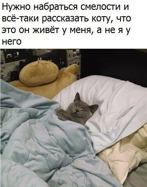 Нужно набраться смелосги и всё таки рассказать коту что это он живёт у меня а не я у