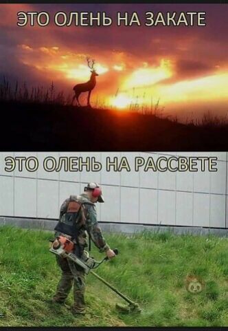 ЭТО ОЛЕНЬ НА ЗАКАТЕ