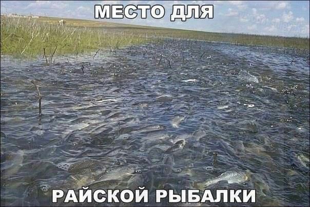 РАИСКОЙ РЫБАЛКИ