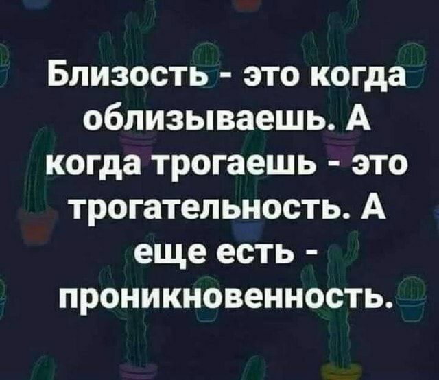 Близость это когда облизываешь А когда трогаешь это трогательность А еще есть проникновенность